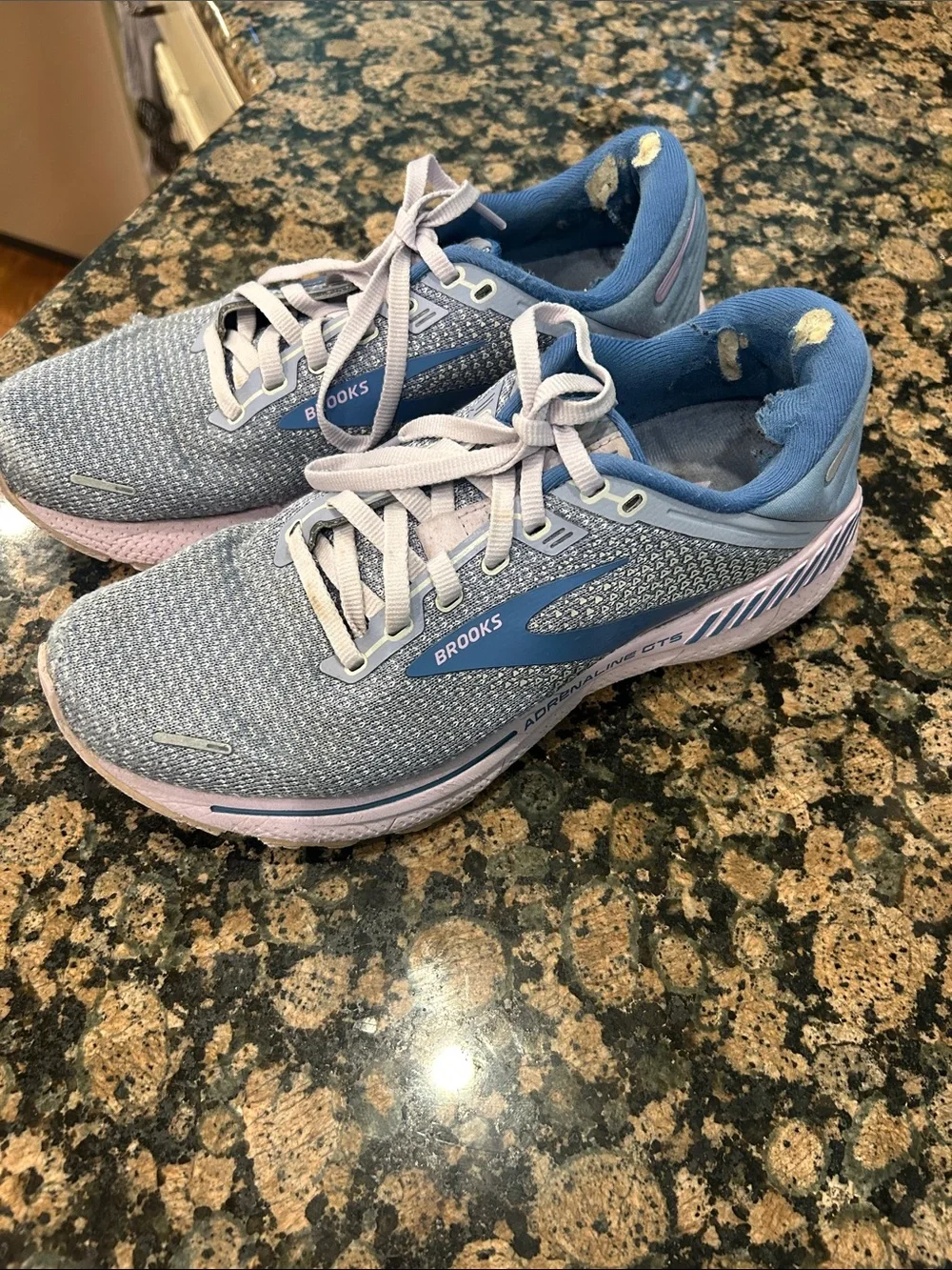 Brooks Adrenaline Shoes